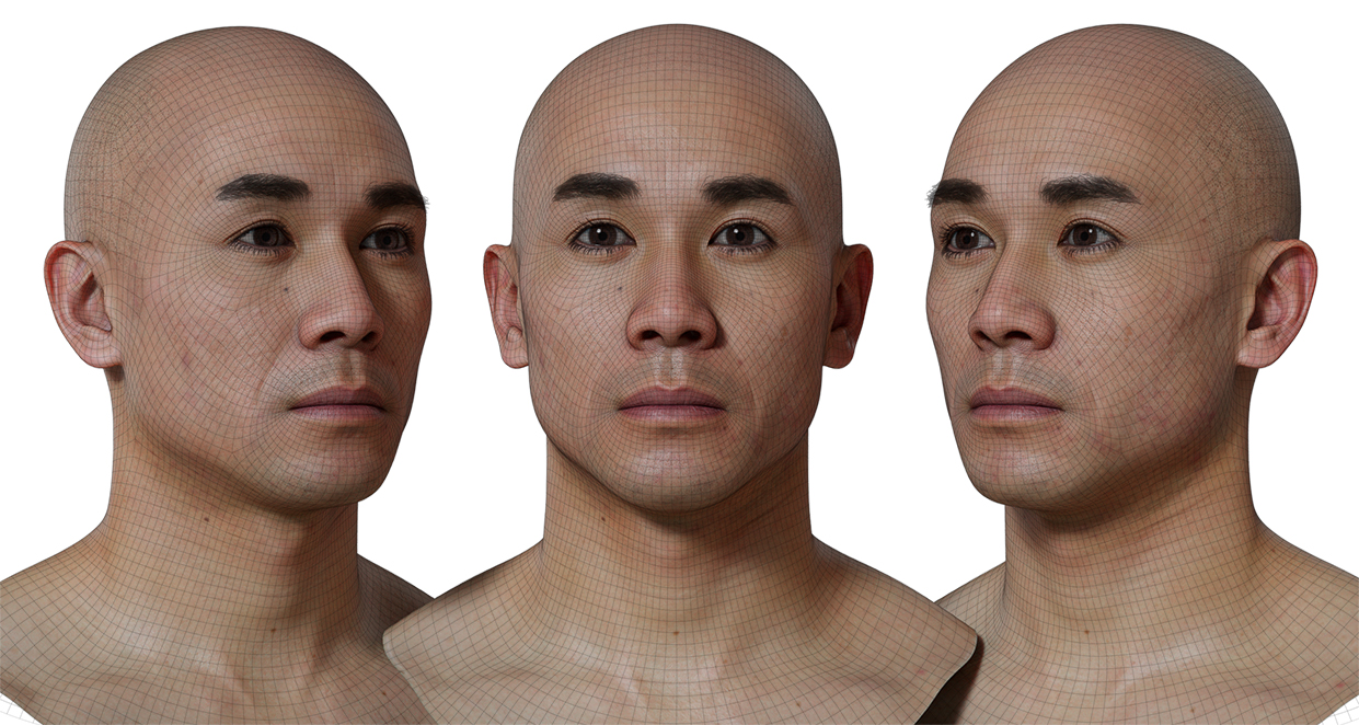 Enhance your digital creations with our male metamorph head scan. Our cutting-edge 3D scanning technology captures every detail of the human head, creating a one-of-a-kind model that is perfect for animation, gaming, and other digital projects. With a ZTL file as the source and FBX meshes included, customization is a breeze. Get the high-resolution details you need to take your projects to the next level.